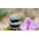 Massage énergétique massage sur Sainte Luce Loire, Thouaré sur Loire, Nantes - Offres massages - Réduction sur les massages ...